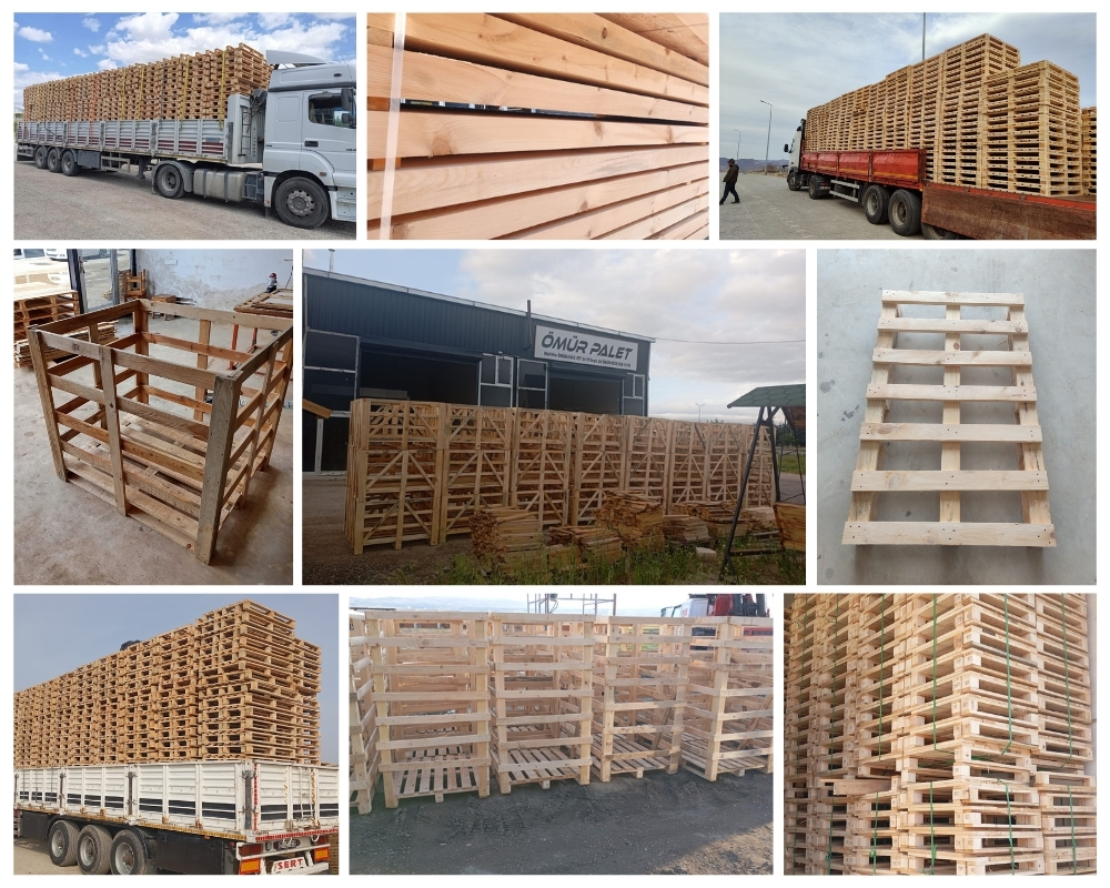 Mareno di Piave Palette Europe, Acheter des palettes en gros